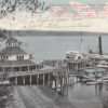F8910 WA, Point Defiance Park Pavilion Postcard