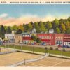 Saluda North Carolina Business Section from Rec Center Antique Postcard (J13016)