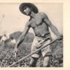 Israel Mikveh Pupil Farming Judaica Antique Postcard (J35760)