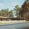 G1338 NC, Hampstead Martha Ann Motor Court/Restaurant Postcard