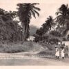 Sainte Claude Guadeloupe Road to Basse-Terre Real Photo Antique PC (J35472)