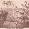 G4117 New Caledonia, Native Village Postcard