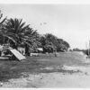 Semaphore Australia The Foreshore Real Photo Antique Postcard (J38347)
