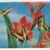Butterfies on Flowers Vintage Novelty 3-Dimensional Postcard N4618