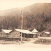 Willey Camps Scenic Log Cabins Real Photo Antique Postcard (J22914)