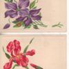Pair of pretty flowers with ladybugs antique postcards (Z3742)