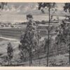 Kibbutz Kinereth Israel Scenic View Judaica Antique Postcard (J32177)