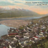 E9336 AK, Juneau Aerial View Postcard