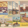 E6772 Washington D.C., O'Donnells Sea Grill Postcard