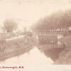 Invercargill New Zealand Scene in Domain Real Photo Antique Postcard (J38286)