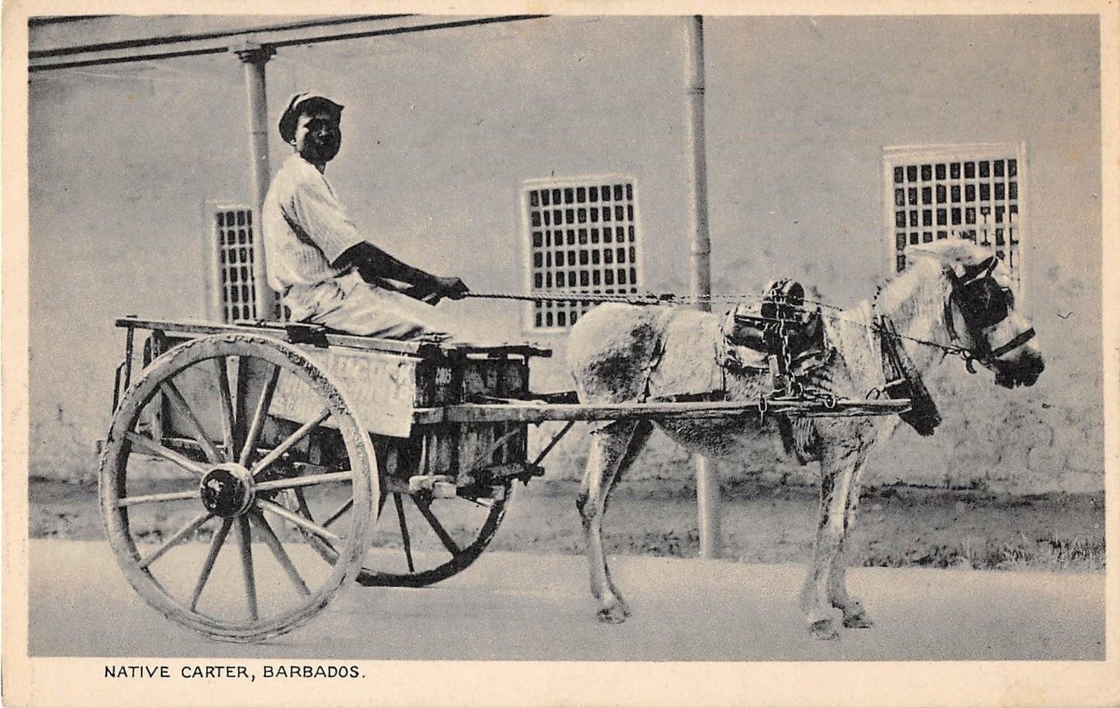 Native Carter pull cart Barbados Antique Postcard P592 - Mary L. Martin ...