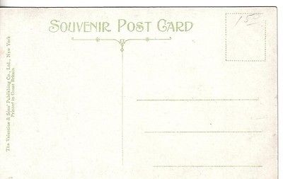 S778 Broadway Showing Grand Union Hotel NY postcard - Image 2