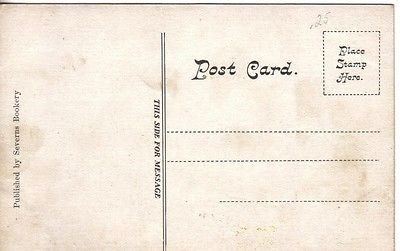 S796 Walkers Pier Silver Lake NY postcard - Image 2