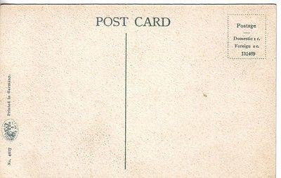 S813 View at Rock Cut Olean NY postcard - Image 2