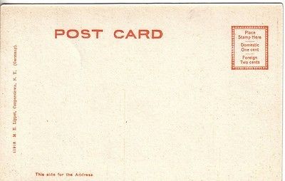 S831 Steamer Mohican Otsego Lake Cooperstown postcard - Image 2