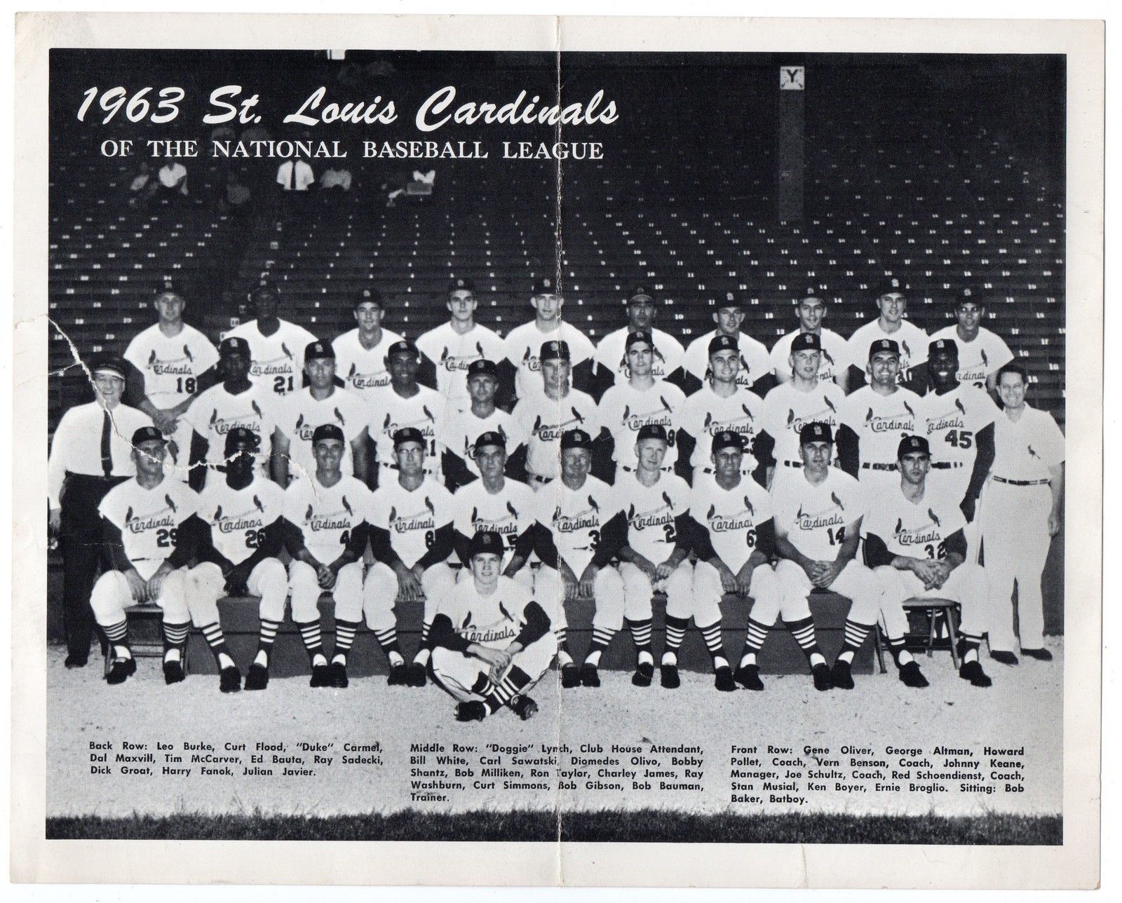 1963 St Louis Cardinals Baseball Team 8x10 Print (J24993) - Mary L