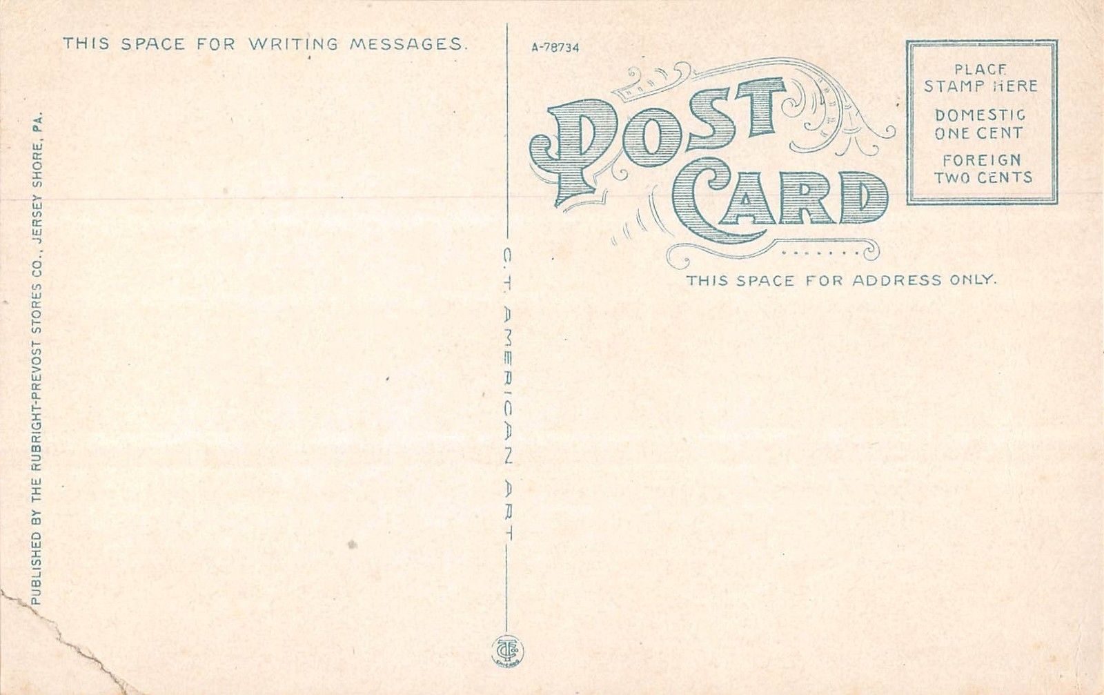 Jersey Shore Pennsylvania Presbyterian Church & Parsonage Antique PC V12688 - Image 2