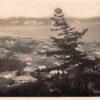 Yuigahama Japan Kamakura Scenic View Real Photo Antique Postcard (J25468)