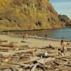Waikiki Beach Hawaii scenic beach scene bathers surf driftwood vintage pc Z8756