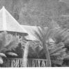 Hobart Tasmania Australia Fern Tree Bower Antique Postcard (J35688)