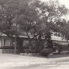 E3230 MS, Gulfport Restaurant Photo Postcard