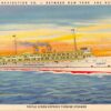 Colonial Line Steamer Comet Antique Postcard (J15996)