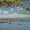 G5517 HI, Hilo-Town View Postcard