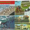 7 mixed cities bicycling related some beach & pier scenes vintage pc (Z4841)