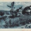 Pakistan Countryside Scenic View Antique Postcard (J28966)