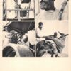 Tel-Aviv Israel Jewish Workers Multiview Judaica Antique Postcard (J32175)