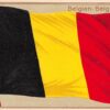 Belgien Belgique Belgium Flag Antique Postcard (J27035)