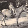 Jamestown South Carolina vacation time with Granddaddy antique pc Y10751