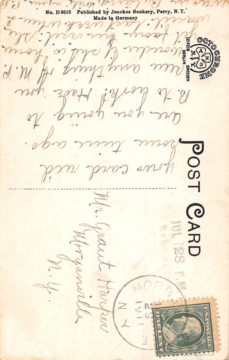 Genessee High Banks near Perry New York Antique Postcard L255 - Image 2