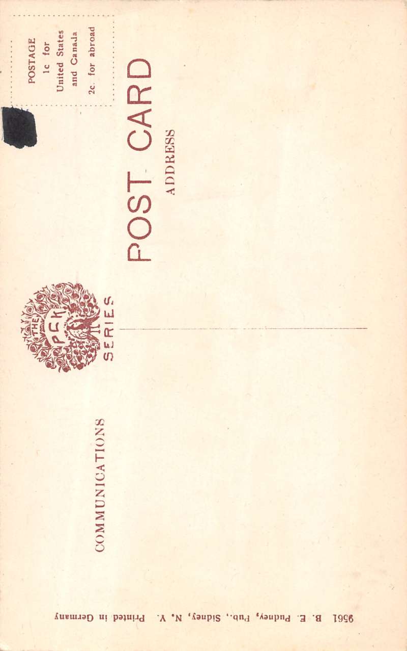 wellsbridge bridge across susquehanna New York Antique Postcard L269 - Image 2