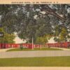 Turbeville South Carolina Chat N Rest Motel Linen Antique Postcard K19385