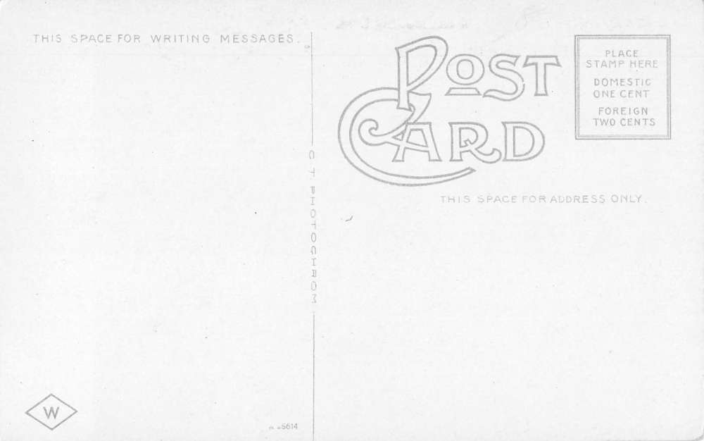 Alpena Michigan birds eye view looking east antique pc Y12343 - Image 2