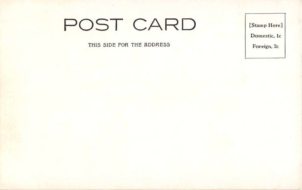 Yellowstone Wyoming Golden Gate Haynes Antique Postcard J51510 - Image 2