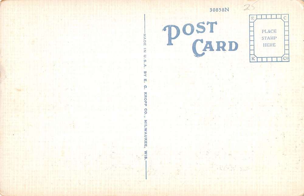 Red Wing Minnesota Goodhue Court House Street View Antique Postcard K35971 - Image 2