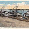 Memphis Tennessee The Levee from the Bluff Antique Postcard J52595