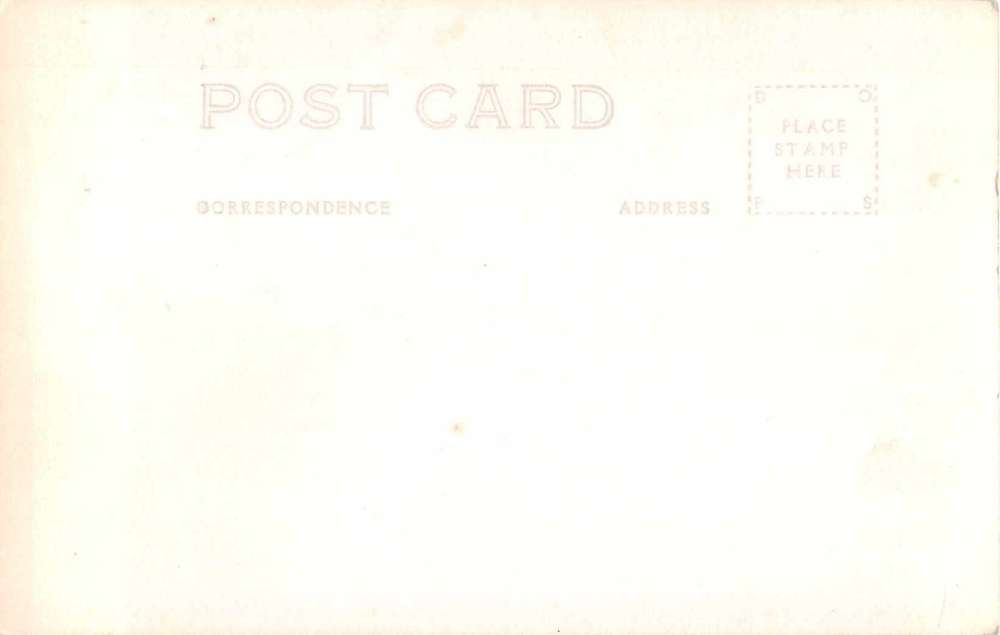 Rainier National park Washington Highway Real Photo Antique Postcard J54022 - Image 2