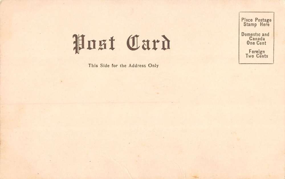 Harrisburg Pennsylvania Capitol Park Squirrel Leaf Antique Postcard K38393 - Image 2