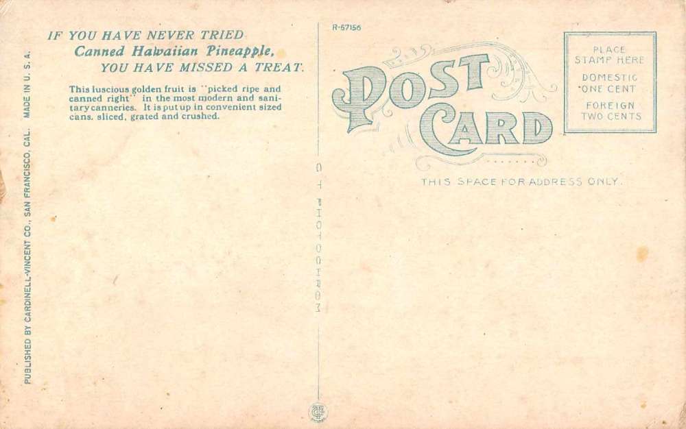 San Francisco California Horticultural Bld Hawaiian Pineapple Packers PC J59235 - Image 2