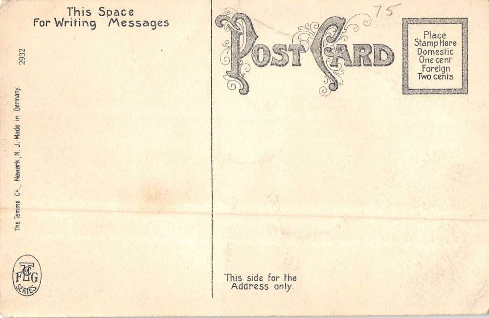 East Orange New Jersey North Eaton Place Street View Antique Postcard K47552 - Image 2