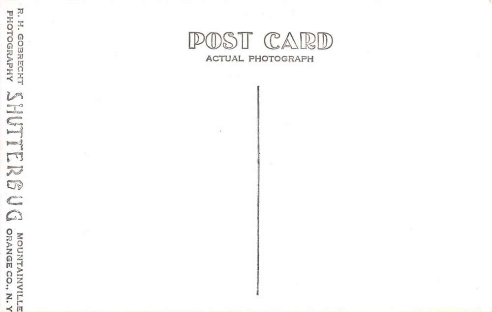 Lake Placid New York The Homestead Real Photo Antique Postcard J59842 - Image 2