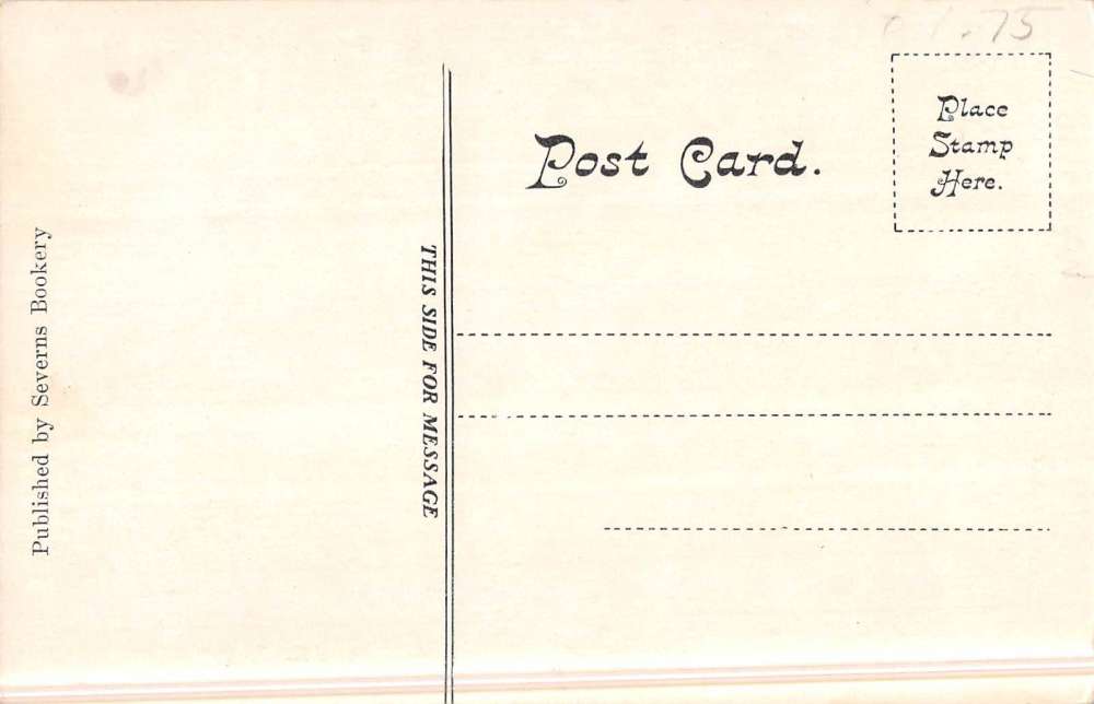 Perry New York Town Hall Street View Antique Postcard K48198 - Image 2