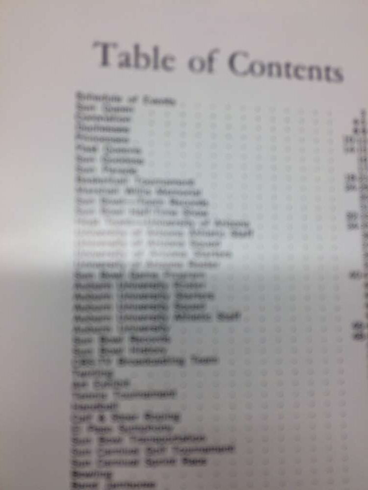 34th Annual Southwestern Sun Carnival Auburn vs Arizona Vintage Football Progran L12003 - Image 2