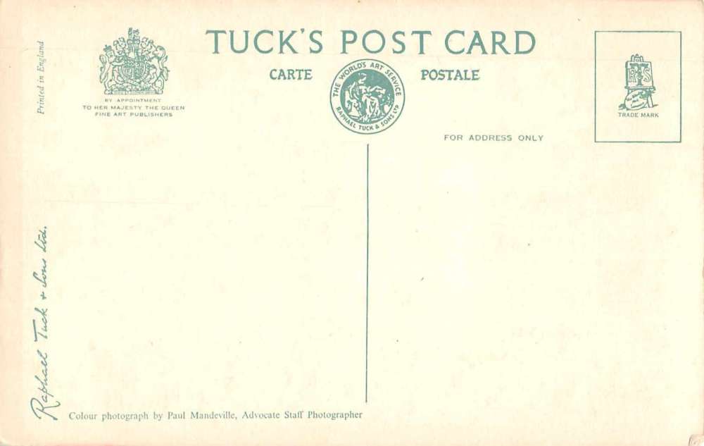 Barbados Mounted Police on Parade Tuck Vintage Postcard J61542 - Image 2