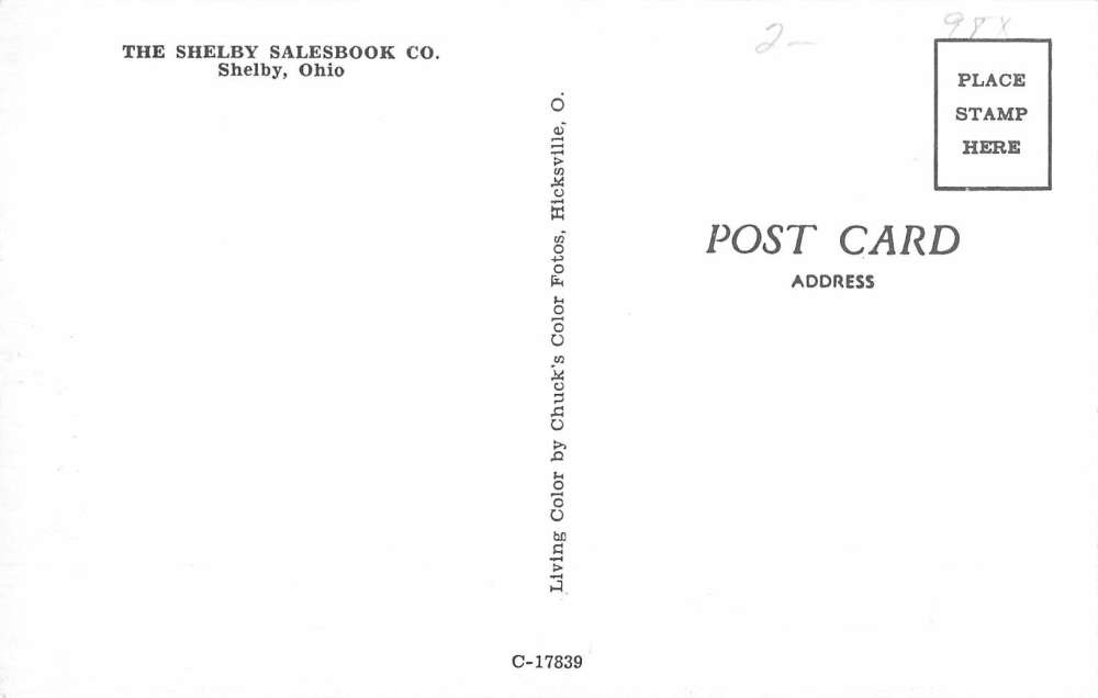 Shelby Ohio Salesbrook Street View Vintage Postcard K53345 - Image 2