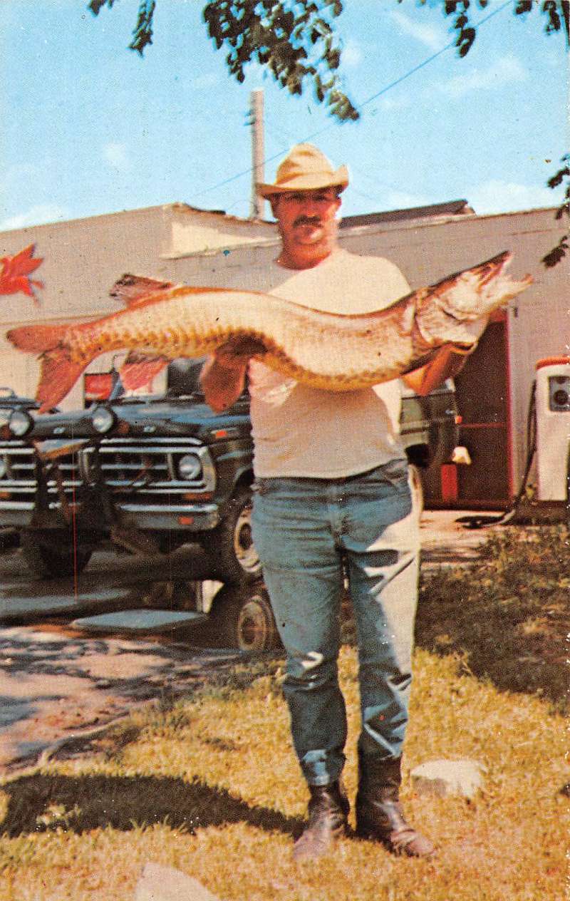 Stow New York Hogans Hut Big Fish Catch Vintage Postcard K53448 - Mary L.  Martin Ltd. Postcards