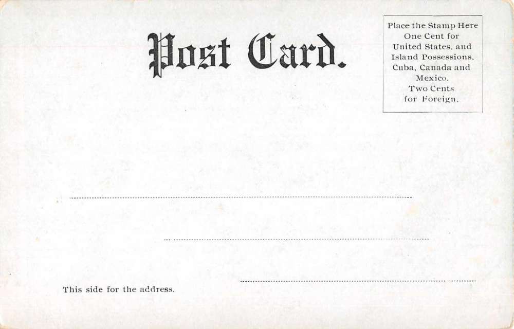 Schenectady New York State Street Below Crescent Park Antique Postcard J62436 - Image 2